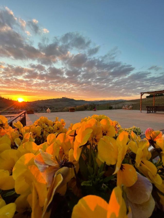 Agriturismo Ca Del Nono San Marzano Oliveto Dış mekan fotoğraf